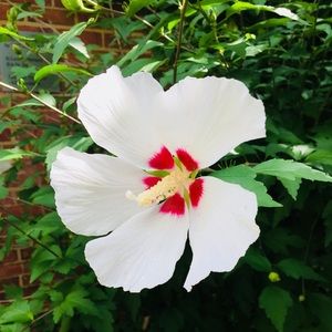 Meet your Posher, Lily